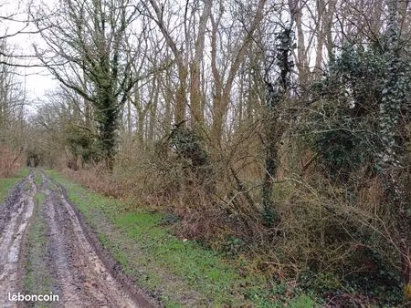 parcelle de bois 1908m2