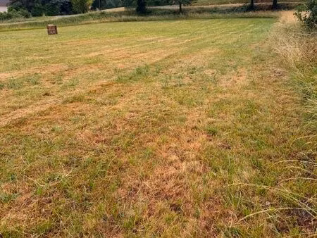 terrain constructible
