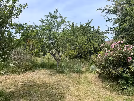 terrain 300 m² maule