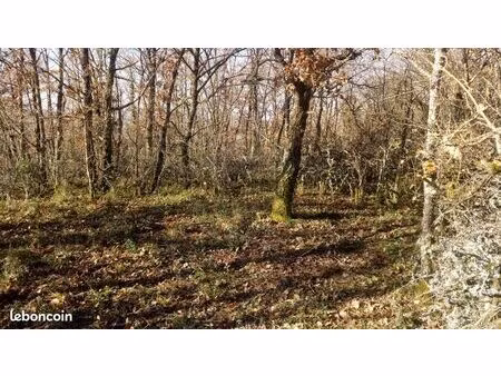 terrain agricole
