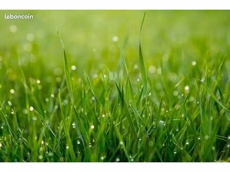 terrain 450 m² franqueville saint pierre