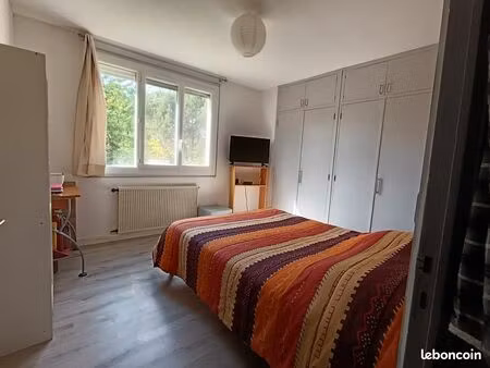 appartement albi 57 m2