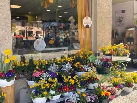 à vendre – fonds de commerce fleuriste