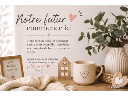 couple recherche logement t3 / maison autour d'arras