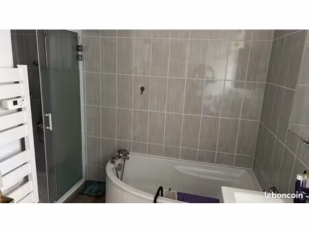 location appartement t3