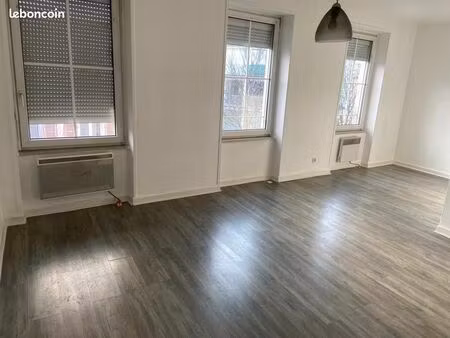 appartement f3 en duplex à mulhouse (75m2)