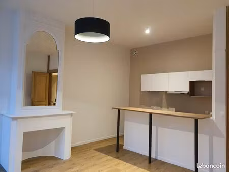 appartement de charme rénové - 2 chambres hypercentre roubaix