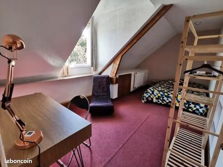 studio chez l'habitant