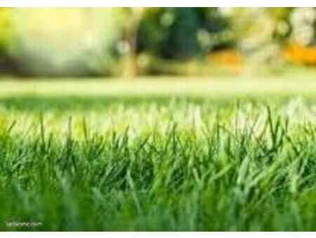 terrain 601 m² falleron