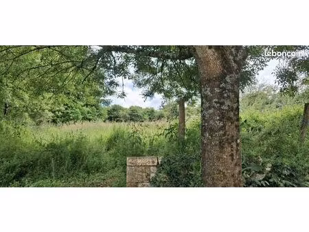 terrain constructible 1850 m2 + terrain attenant 5800 m2 aigondigné (79370)