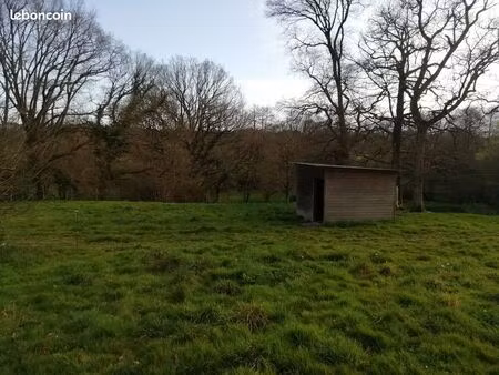 location terrain équidé