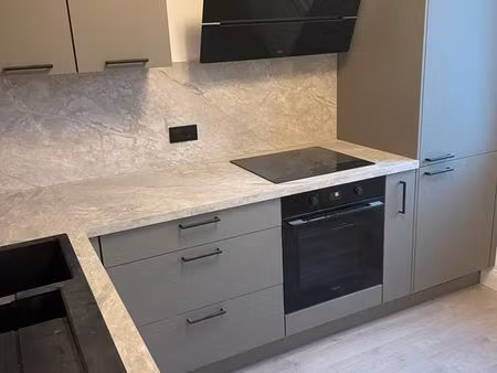 grand t3 refait à neuf lambersart