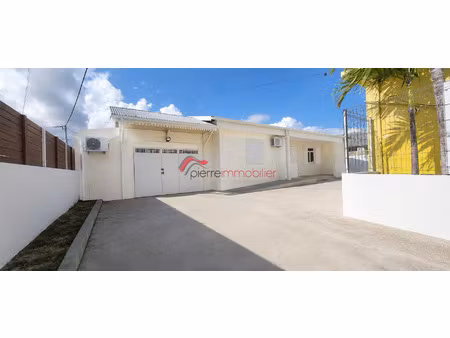 local professionnel ou commercial 252m2