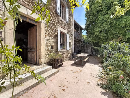 grande maison de caractère - 356 m² sur terrain de 28 000m2 - albon
