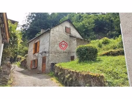 charmante maison en montagne