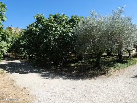 terrain à bâtir
