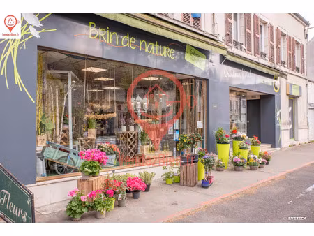 vente commerce 6 pièces 90 m² saint-florent-sur-cher (18400)