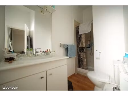studio 1 pièce 24 m²
