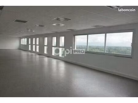bureau 245 m²