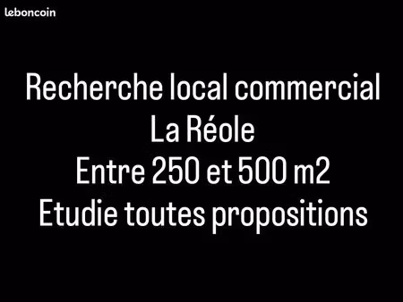 recherche local commercial