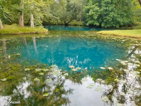 étang
