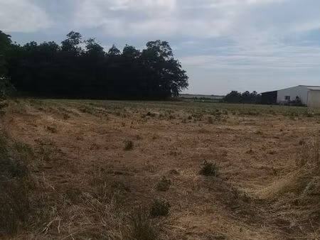 terrain constructible