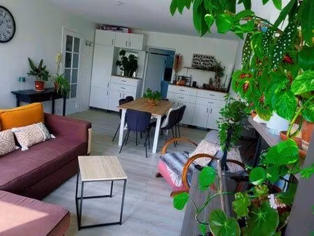 appartement lumineux