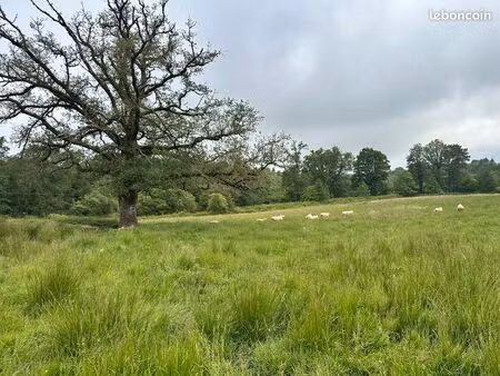 1 48 ha de nature à saint-mathieu (87) — prairie  mare et bois  au cœur du pnr périgord-li