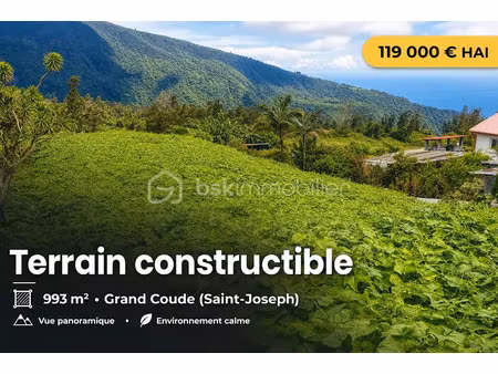 vente terrain 993 m² à saint joseph (97480)  119 000 €