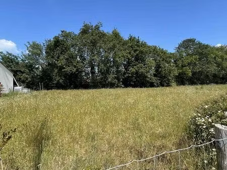 terrain 439m2