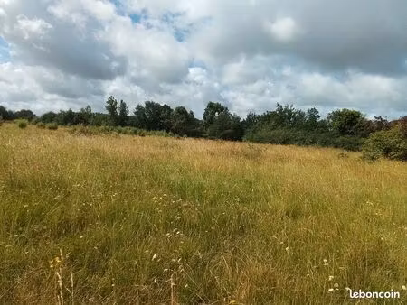 pré pour chevaux à louer