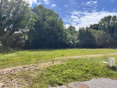 vente terrain à sarzeau (56370) : à vendre / 480m² sarzeau