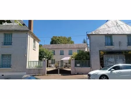 5 maisons : au total 10 appartements centre ville près des thermes