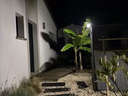 maison + studio