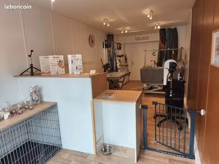 local commercial rénové 28 m² – centre-ville fontenay-le-comte