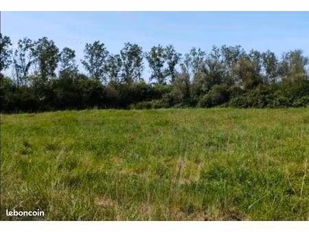 terrain agricole