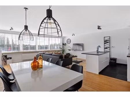 appartement à louer à antwerpsestraat 85 rumst (rbw16096)