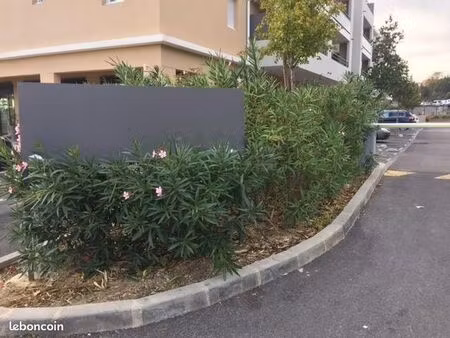 appartement 1 pièce 31 m²