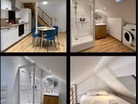 grand studio rue piétonne