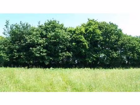 vente terrain à fréhel (22240) : à vendre / fréhel