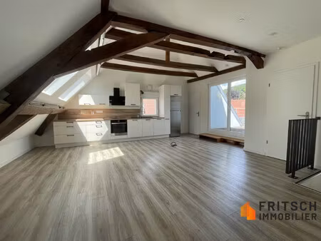 appartement à louer illfurth
