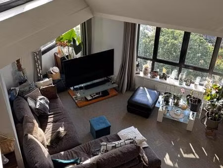 duplex familial et rooftop avec vue dégagée - suresnes (92)