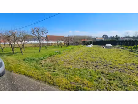 terrain basse goulaine 585 m2