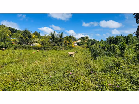 terrain à vendre ducos 1866m2 120 000€