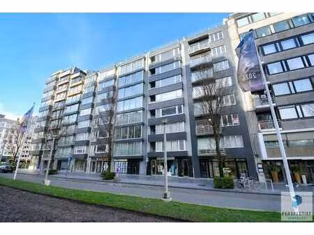 ruim lichtrijk gerenoveerd appartement aan het leopold park