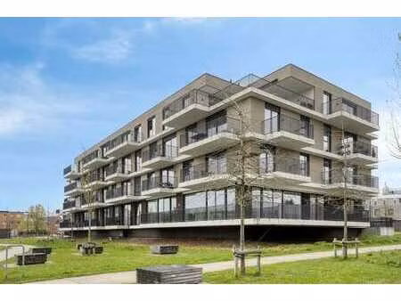 superbe appartement de service au rdc