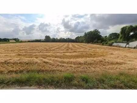 deux beaux terrains situé à forville (fernelmont)