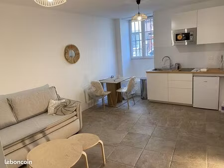 a louer  grand studio  delille carmes