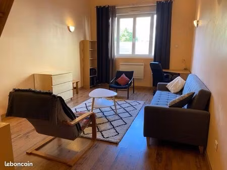 grand studio meublé de 47 m2 à grenoble proche centre