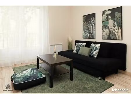 f2 de 39 m² meublé (centre de troyes)